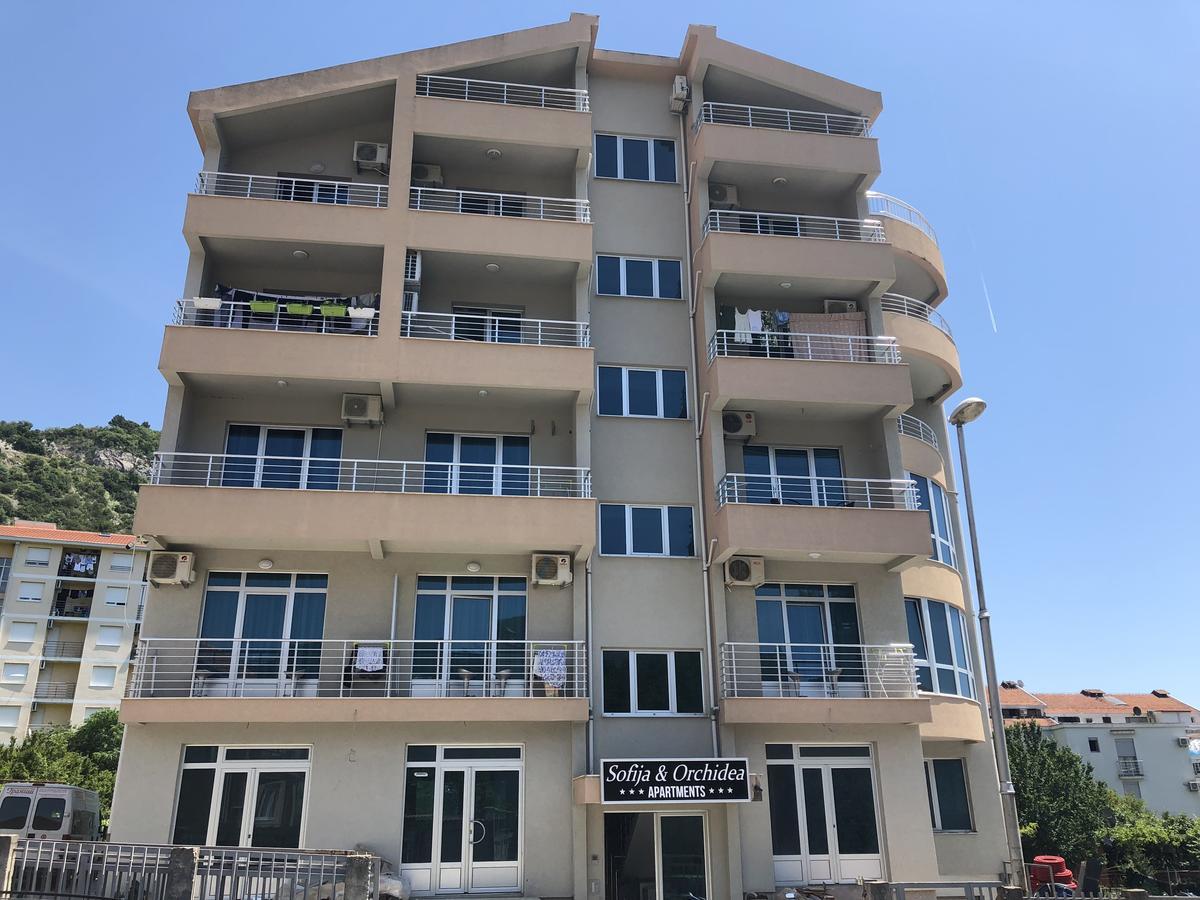 Apartment Sofija Budva Dış mekan fotoğraf